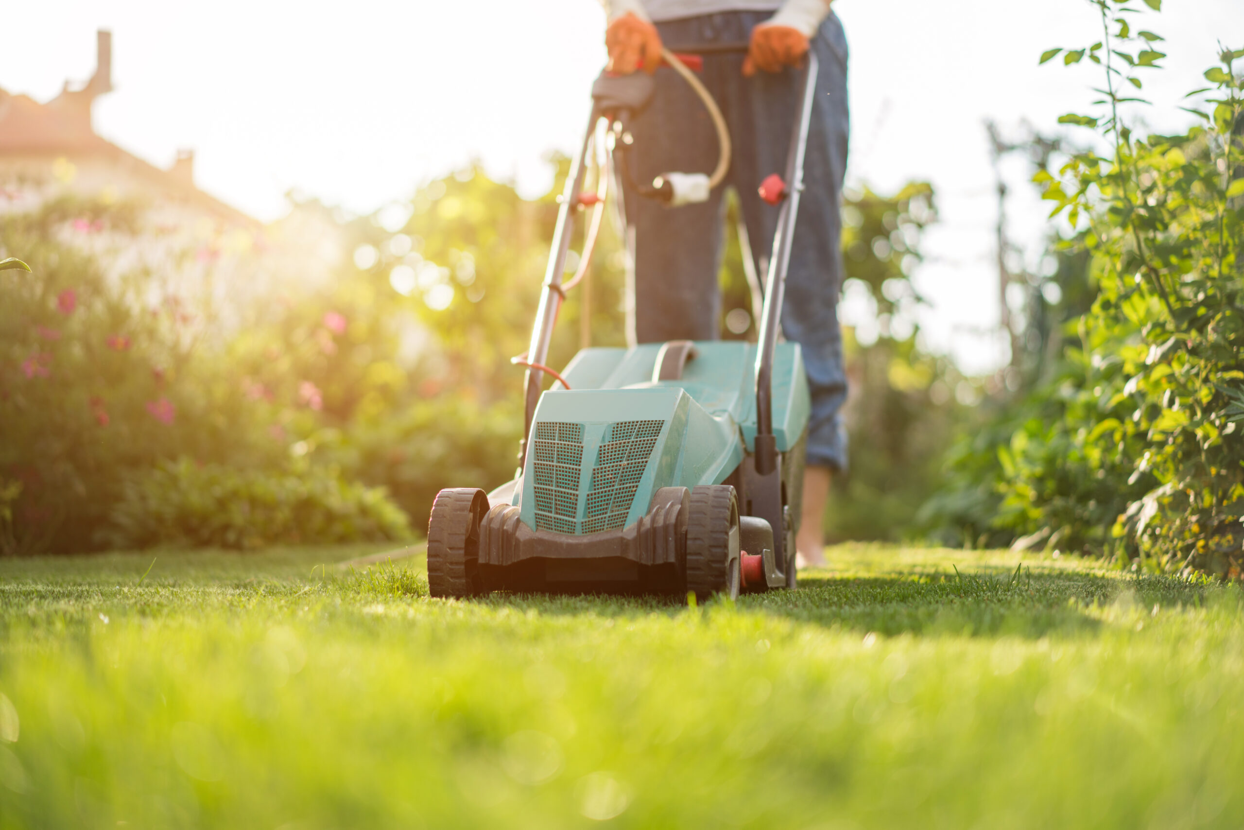 lawn care in Red Deer