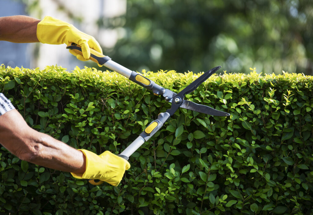 lawn care service in Red Deer